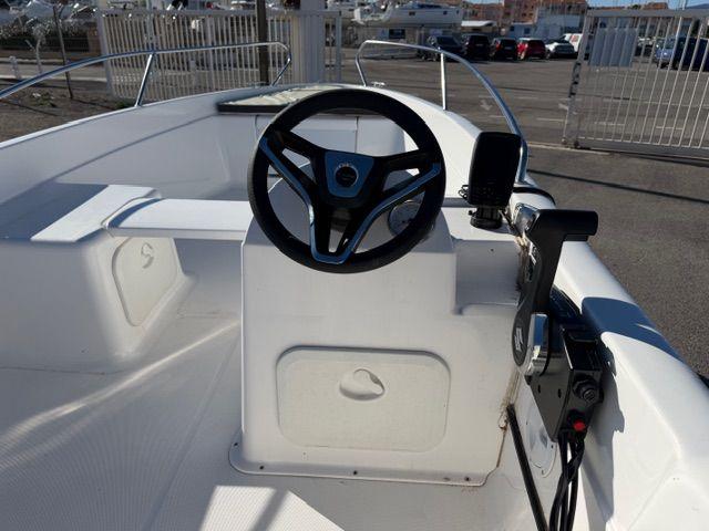 b2 marine Cap ferret 452 fish