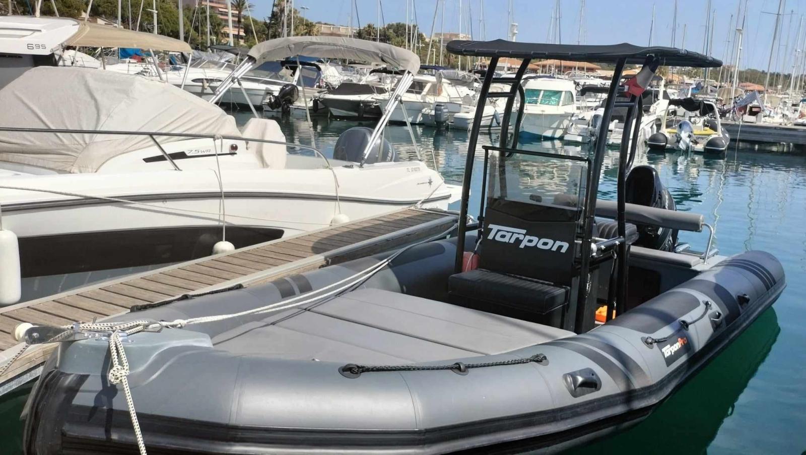 tarpon Dv62