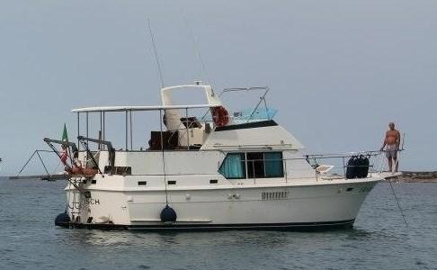 hatteras Hatteras 39 motor yacht