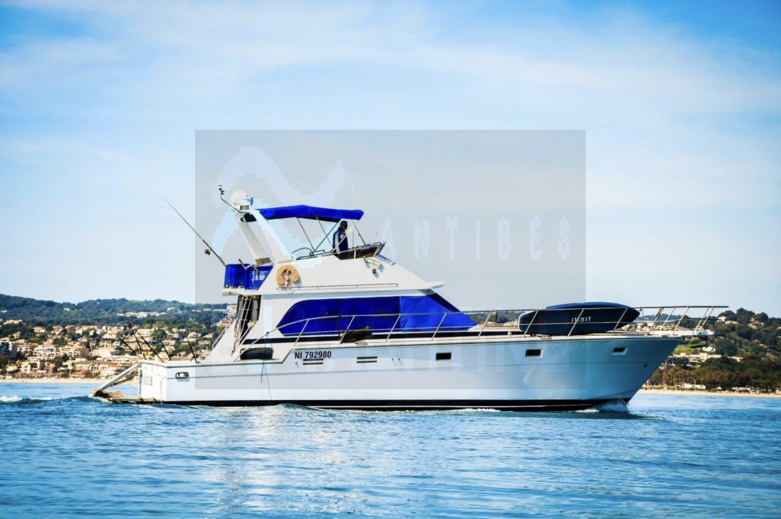 hi star marine 48 fisherman