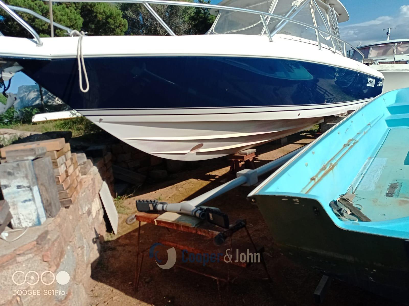 intrepid 31 cuddy