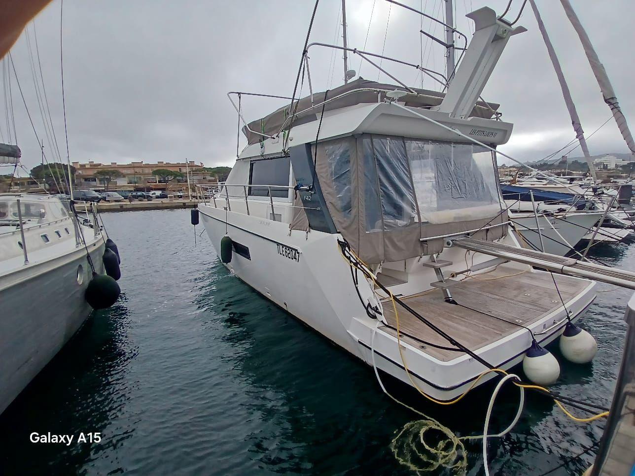 sealine F 42