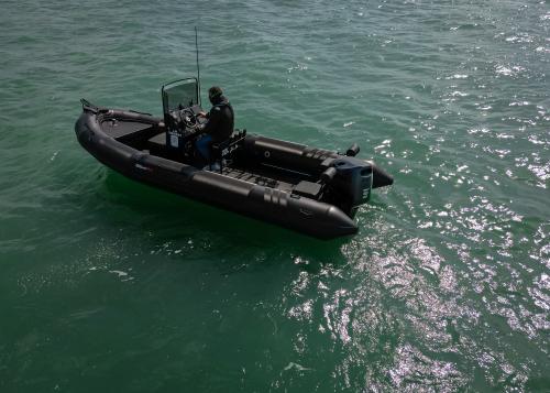 Tarpon tarpon dv60
