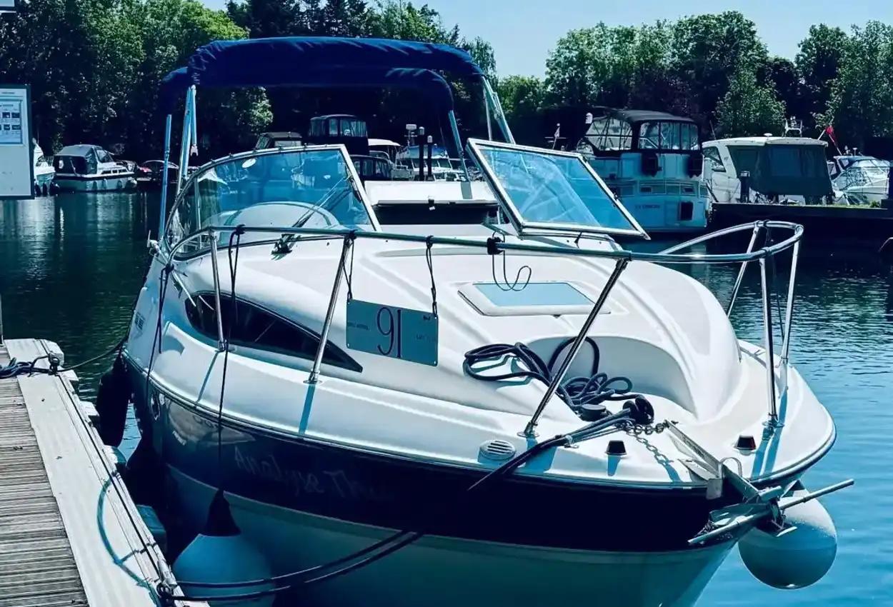 bayliner 245
