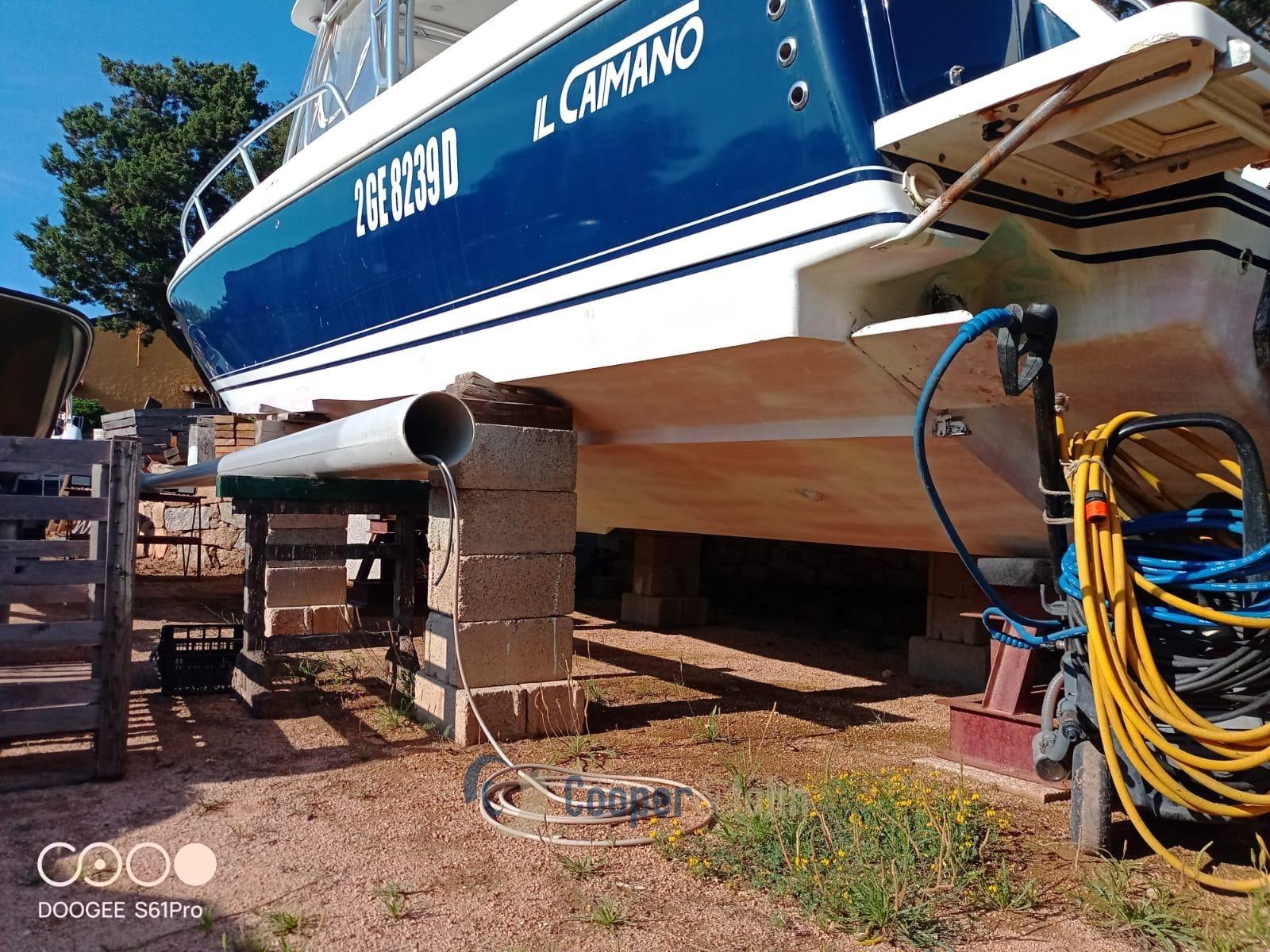intrepid 31 cuddy