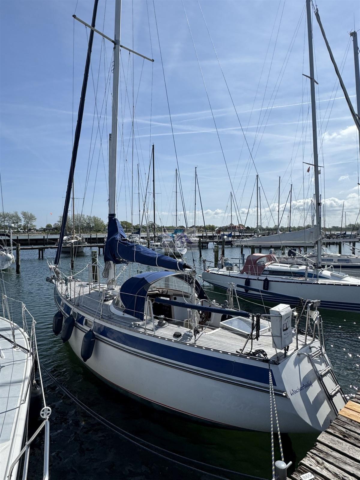 genzel werft Phantom 35