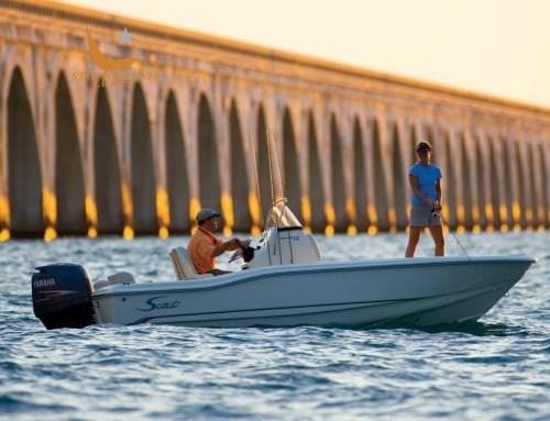 scout boats 175 sportfish