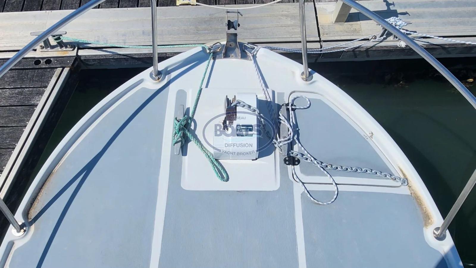 eider marine Sea rover