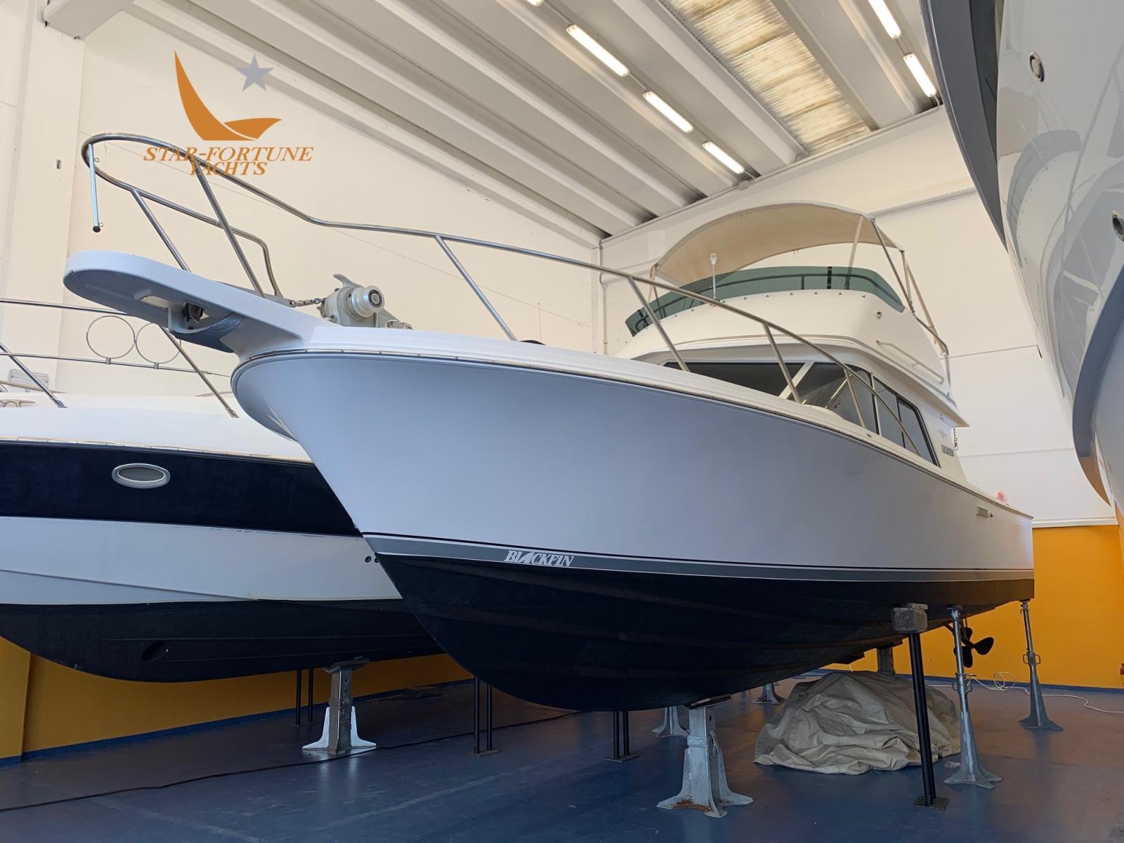 blackfin 29 flybridge