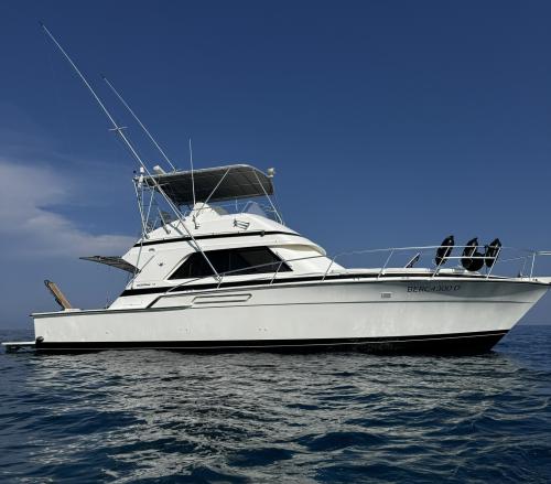 Bertram yacht 43' convertible