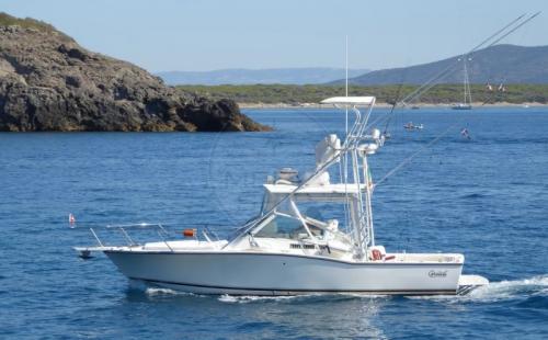 Carolina usa carolina 28 classic