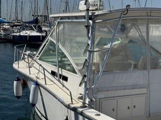 carolina classic Classic 28