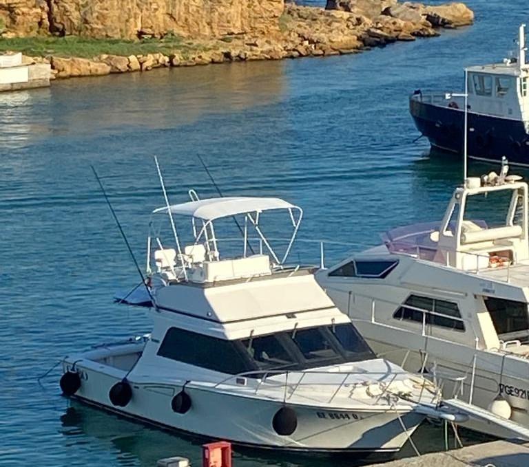 cabo 35 sportfisher