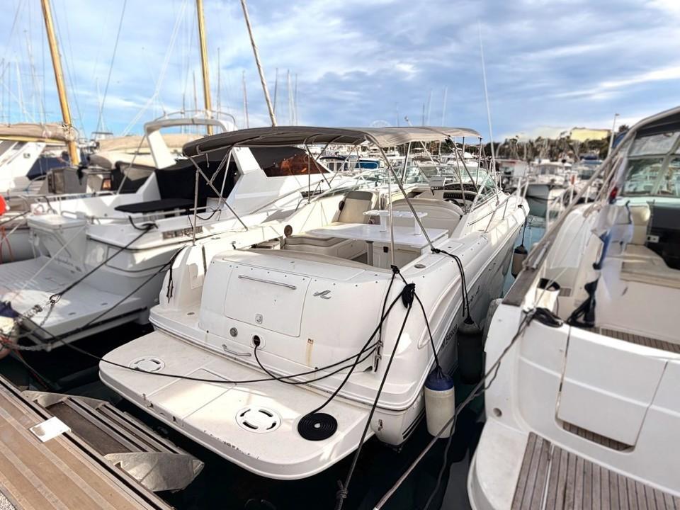 sea ray 290 amberjack