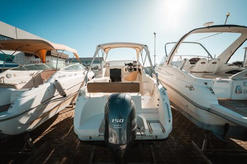 Mingolla corallo 22
