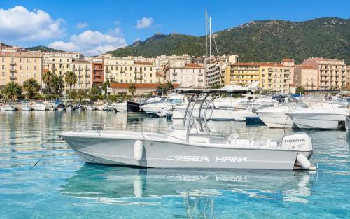 Chris craft sea hawk 213