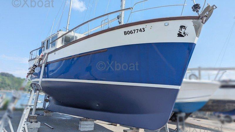 colvic Colvic watson 34.6 ms