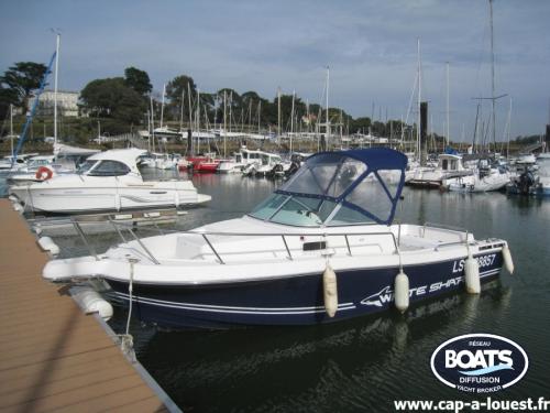 Kelt sa white shark 237