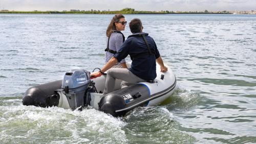 Yamaha f6dmhs/l