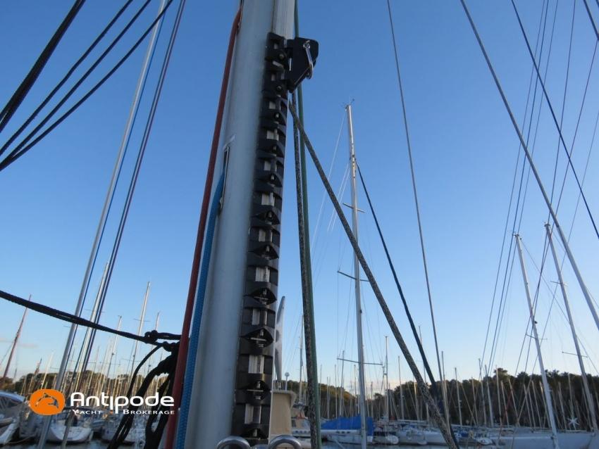 alliaura Feeling 39 di