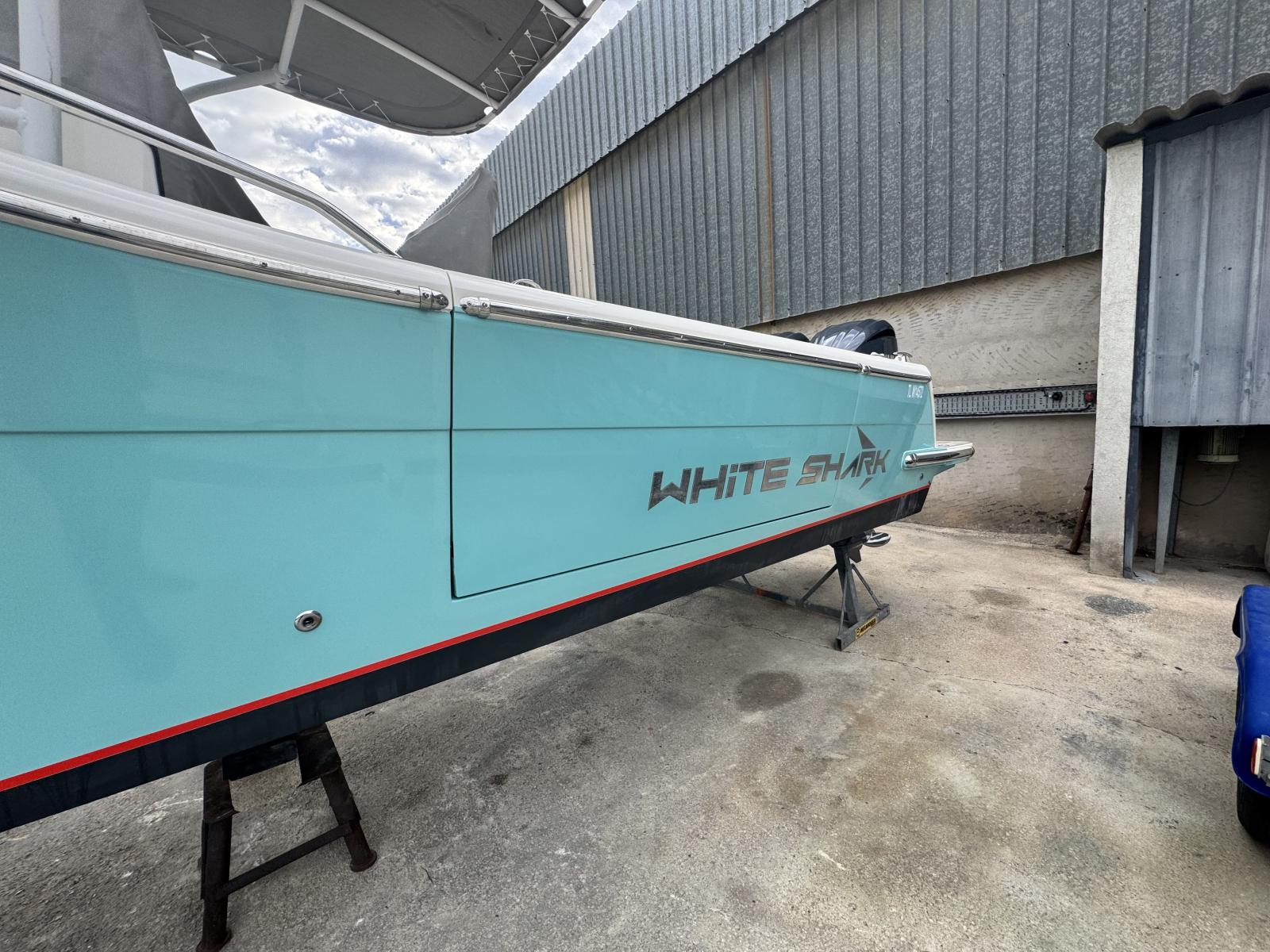 white shark 280 cc evo