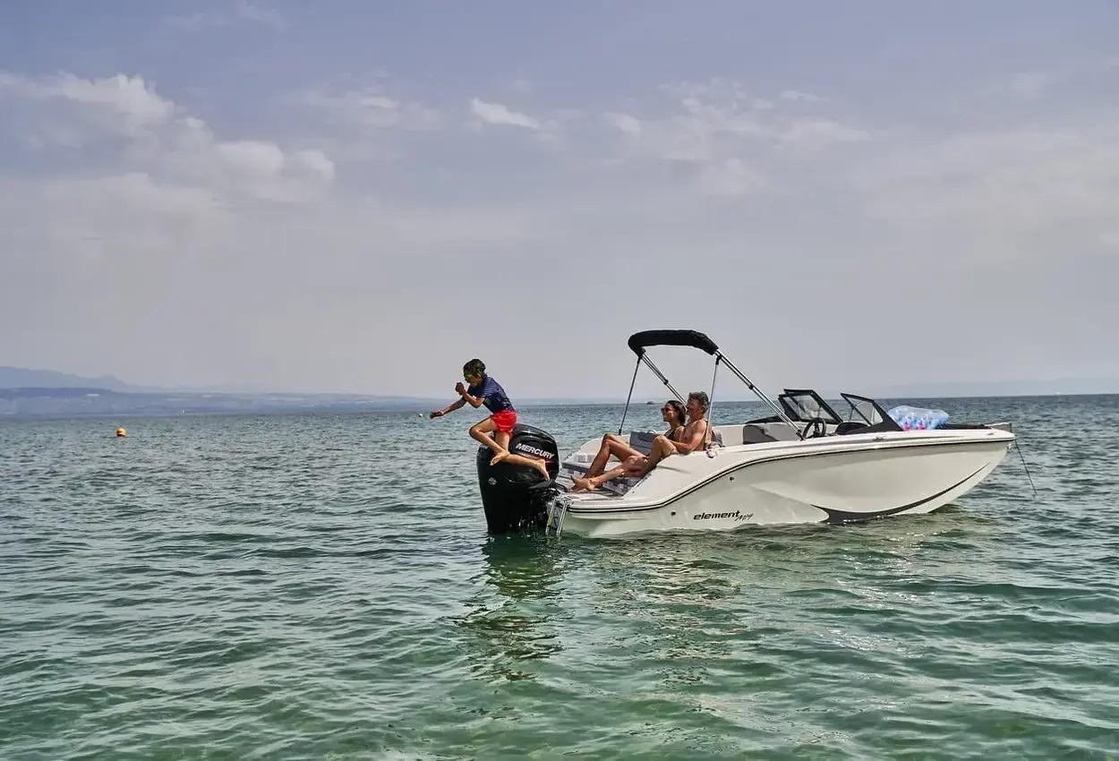 bayliner M 19