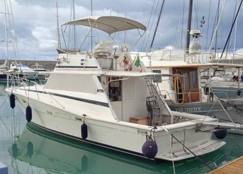 viking 41
