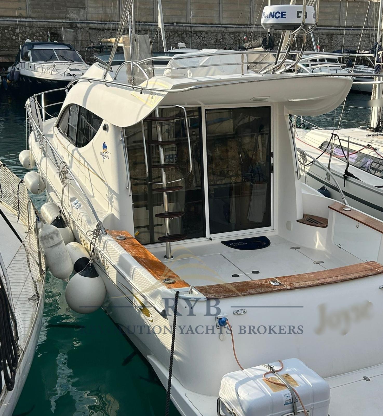 sessa marine Dorado 36