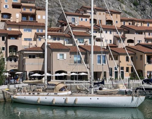 Stain goletta oceanica