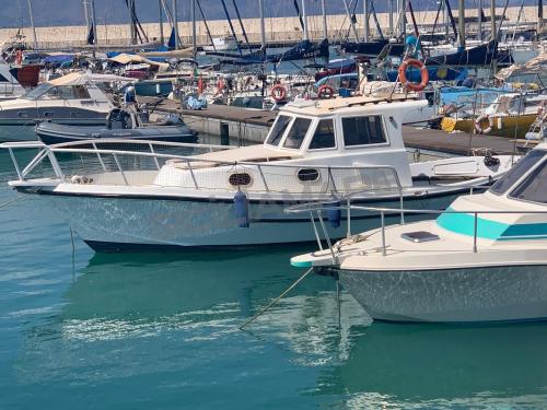 Catarsi calafuria 98 furioso