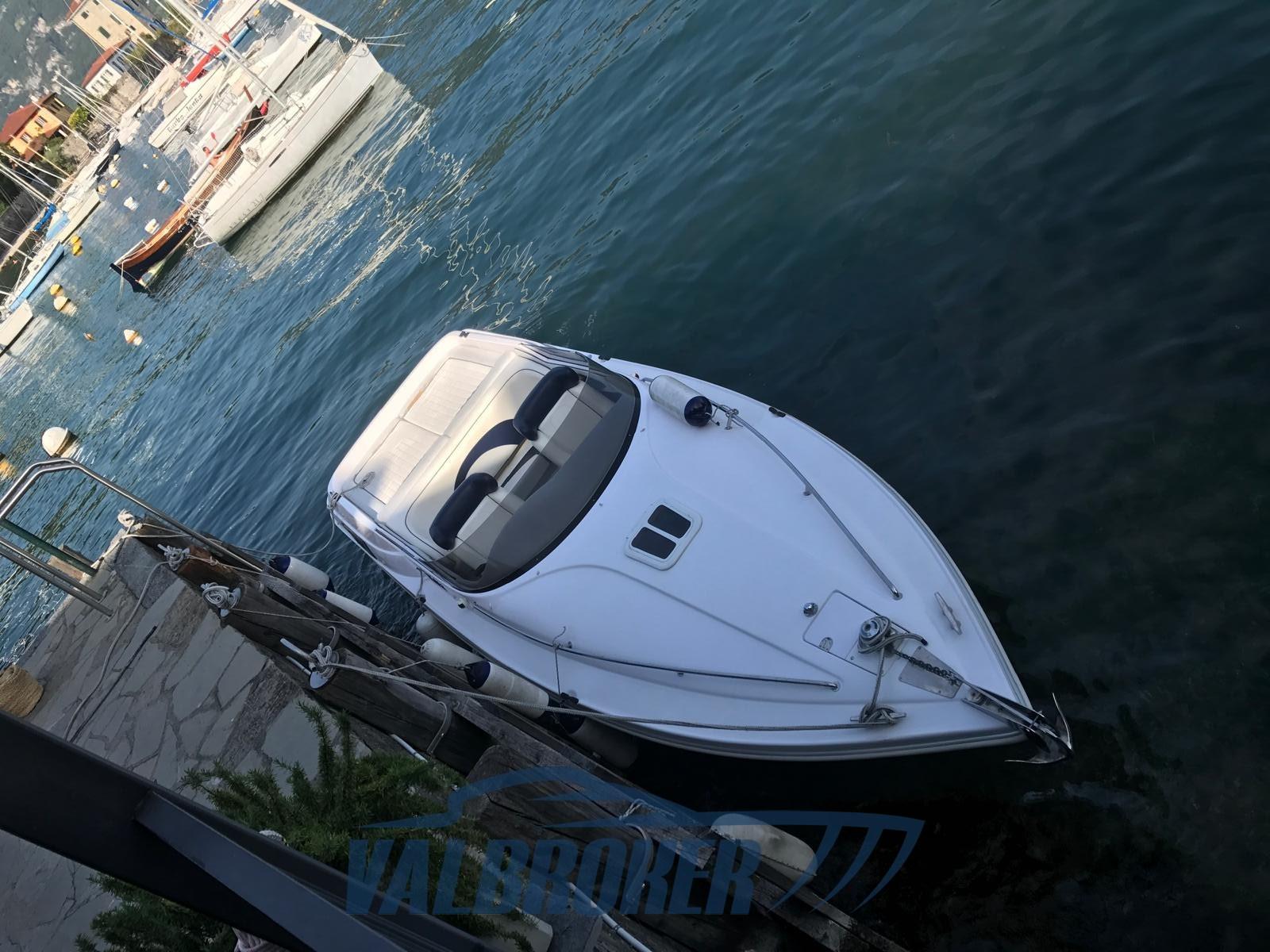 abbate tullio Sea star super