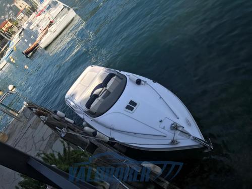 Abbate tullio sea star super