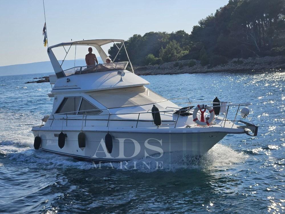 sea ray 340 fly