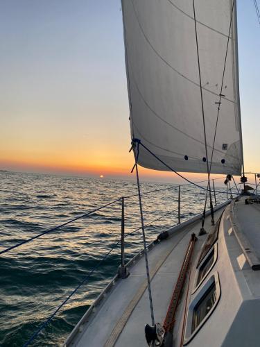 Jeanneau sun shine 36
