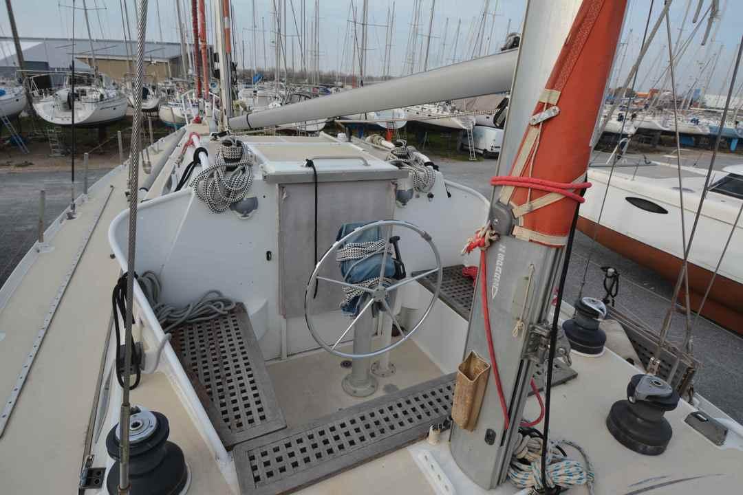 meta Dalu 47