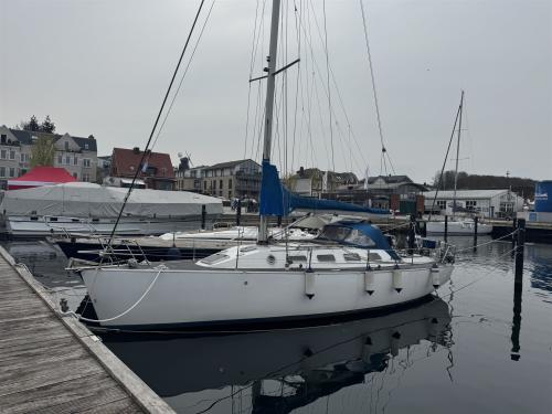 Baron yachtbau baron 38