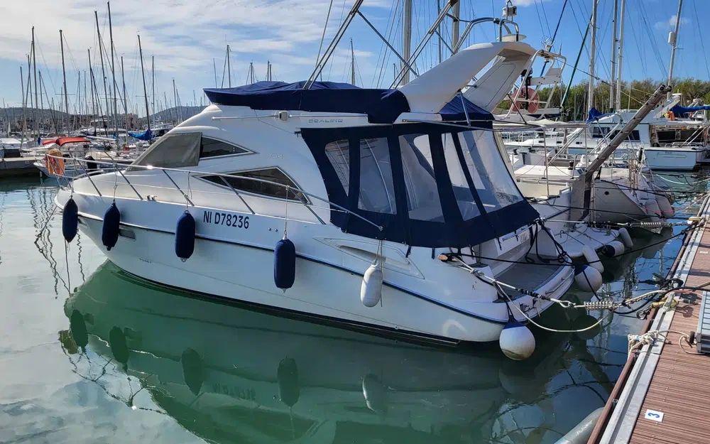 sealine Sealine f 34