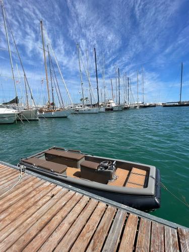 Yachtwerft hamburg ribcat 4.3