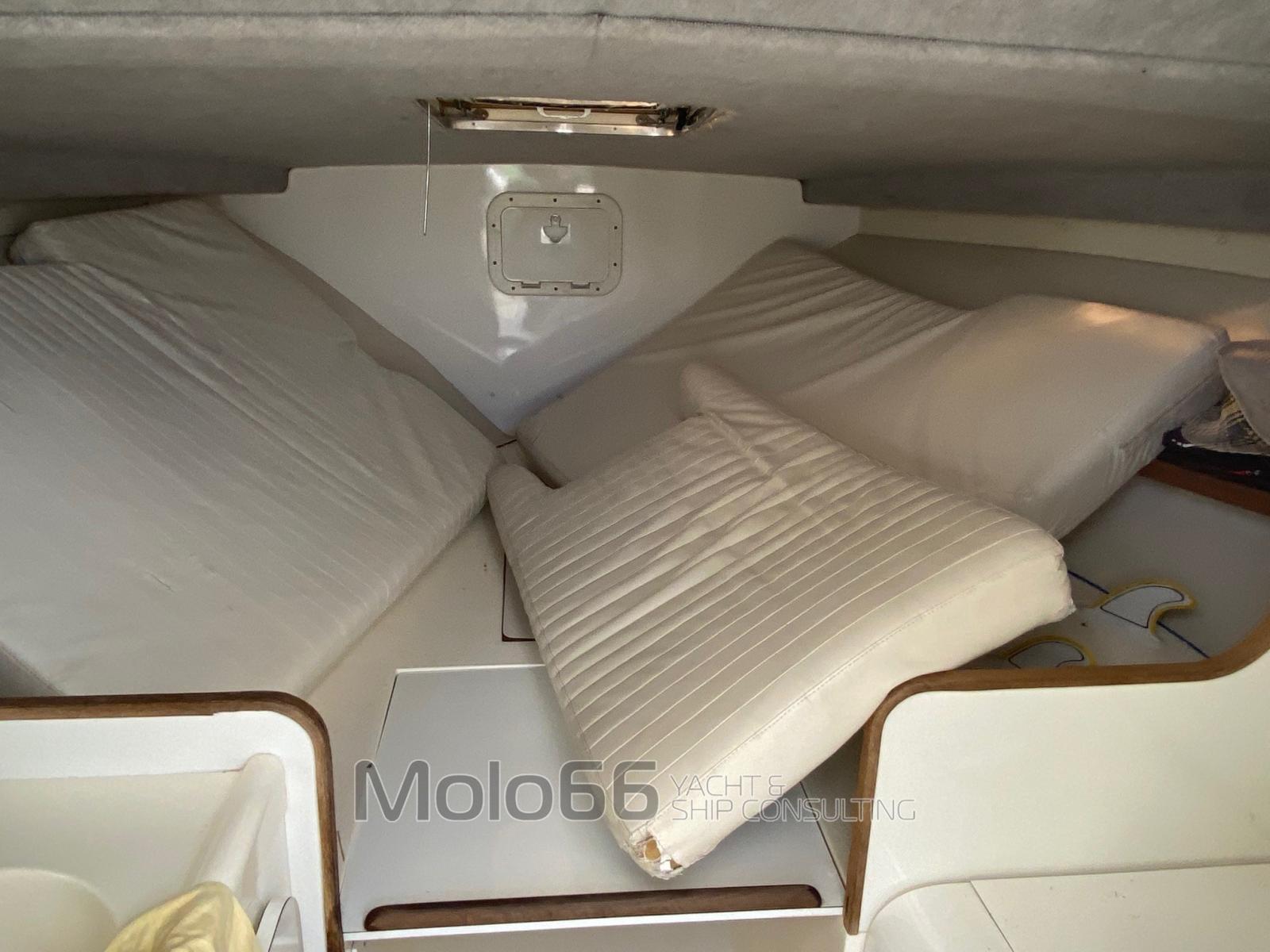 bertram yacht 28' moppie