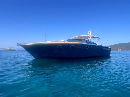 Magnum marine 35