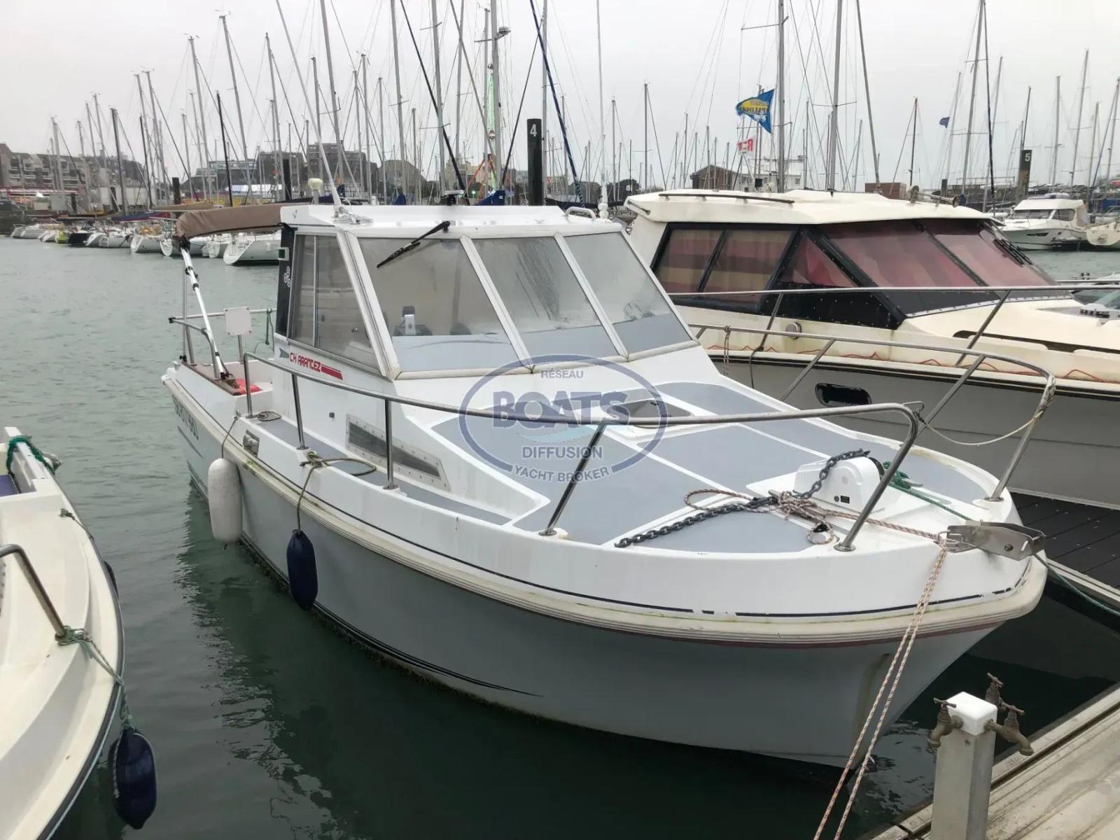 eider marine Sea rover