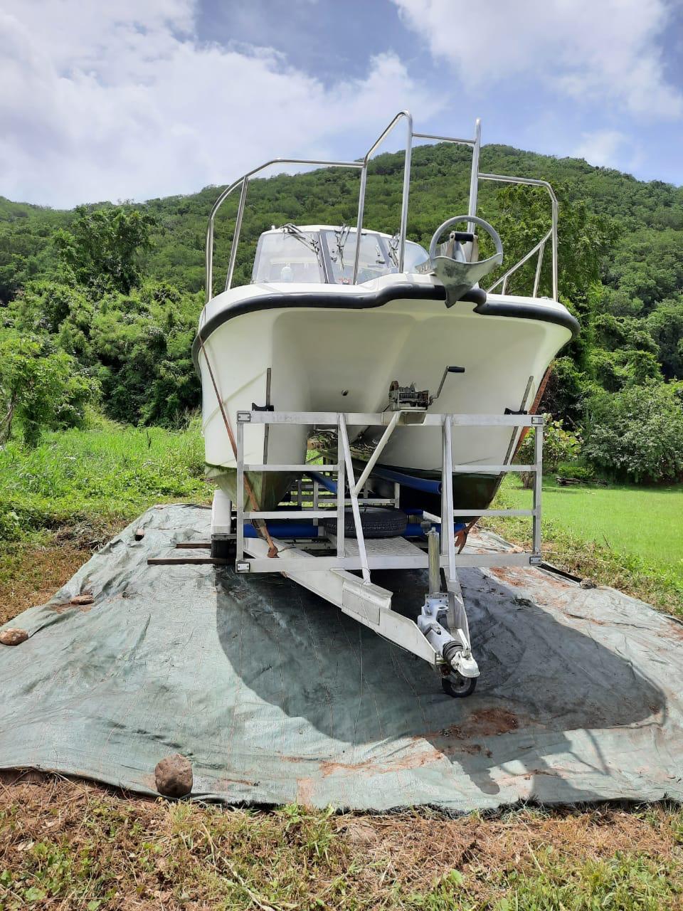 cheetah marine Cheetah marine 6.9