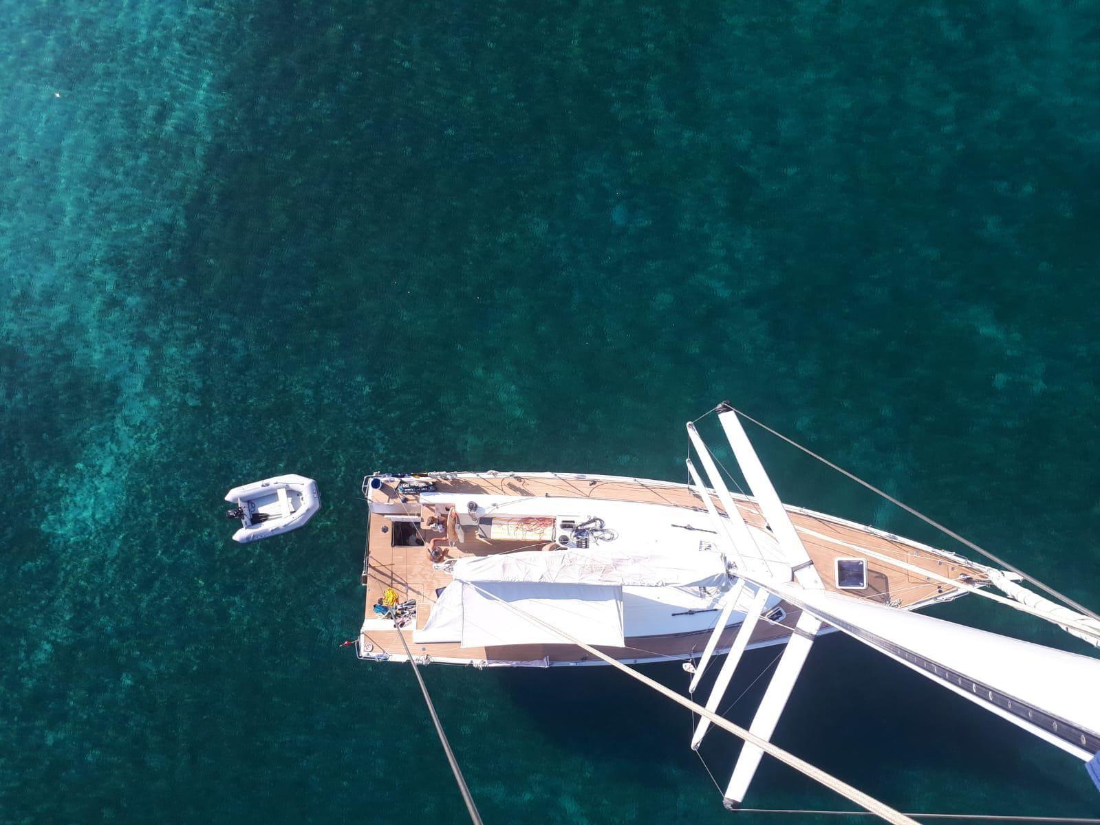 fauroux 50