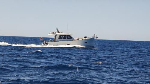 Sasga yachts 42