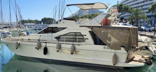 Guy couach guy couach 1401