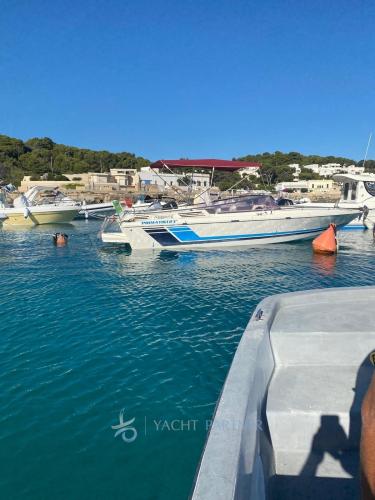 Abbate bruno primatist 23 open