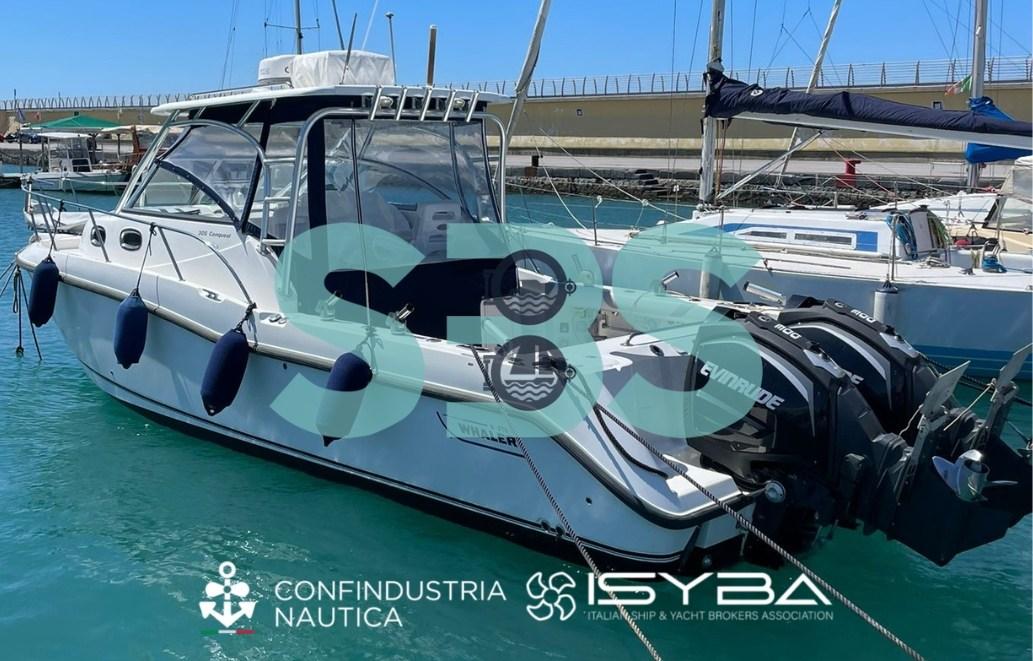 boston whaler 305 conquest anniversary