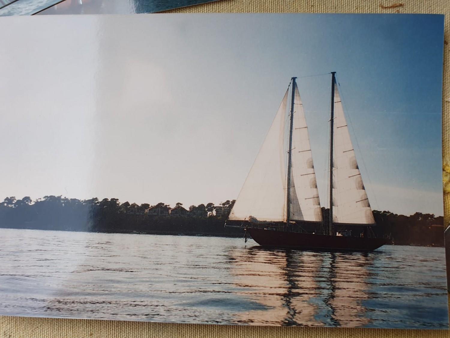 classic Verdicchio 56