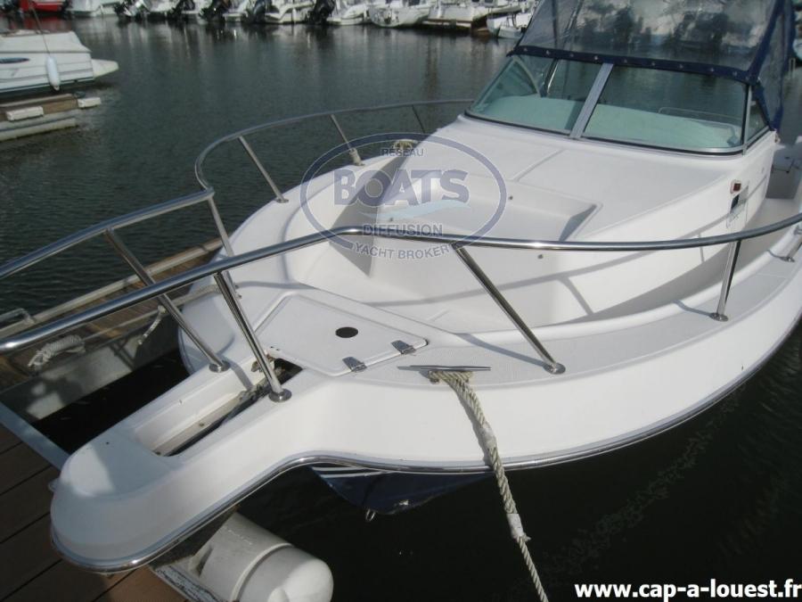 kelt sa White shark 237