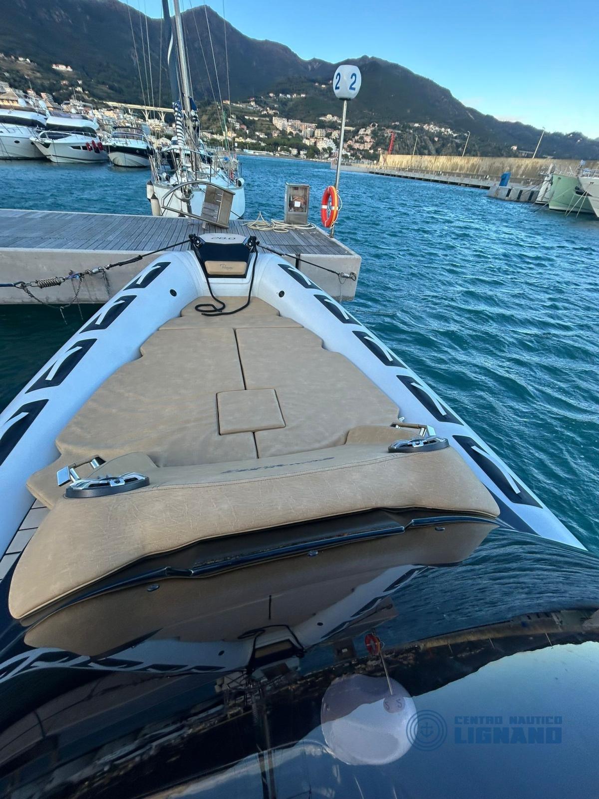 ranieri international Cayman 28 executive